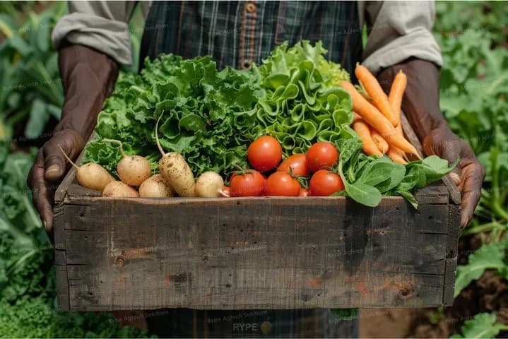 Farmers Deserve More Than Markets